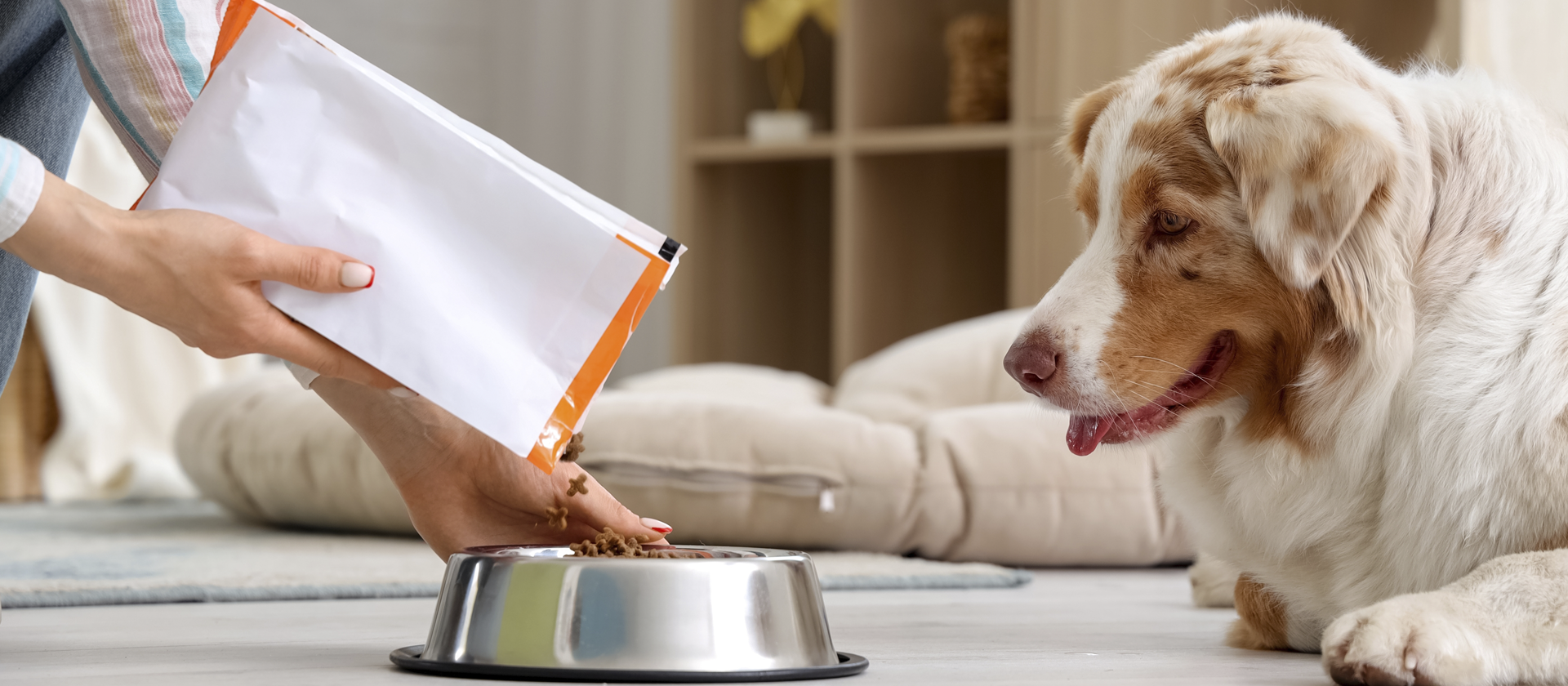 Pet food