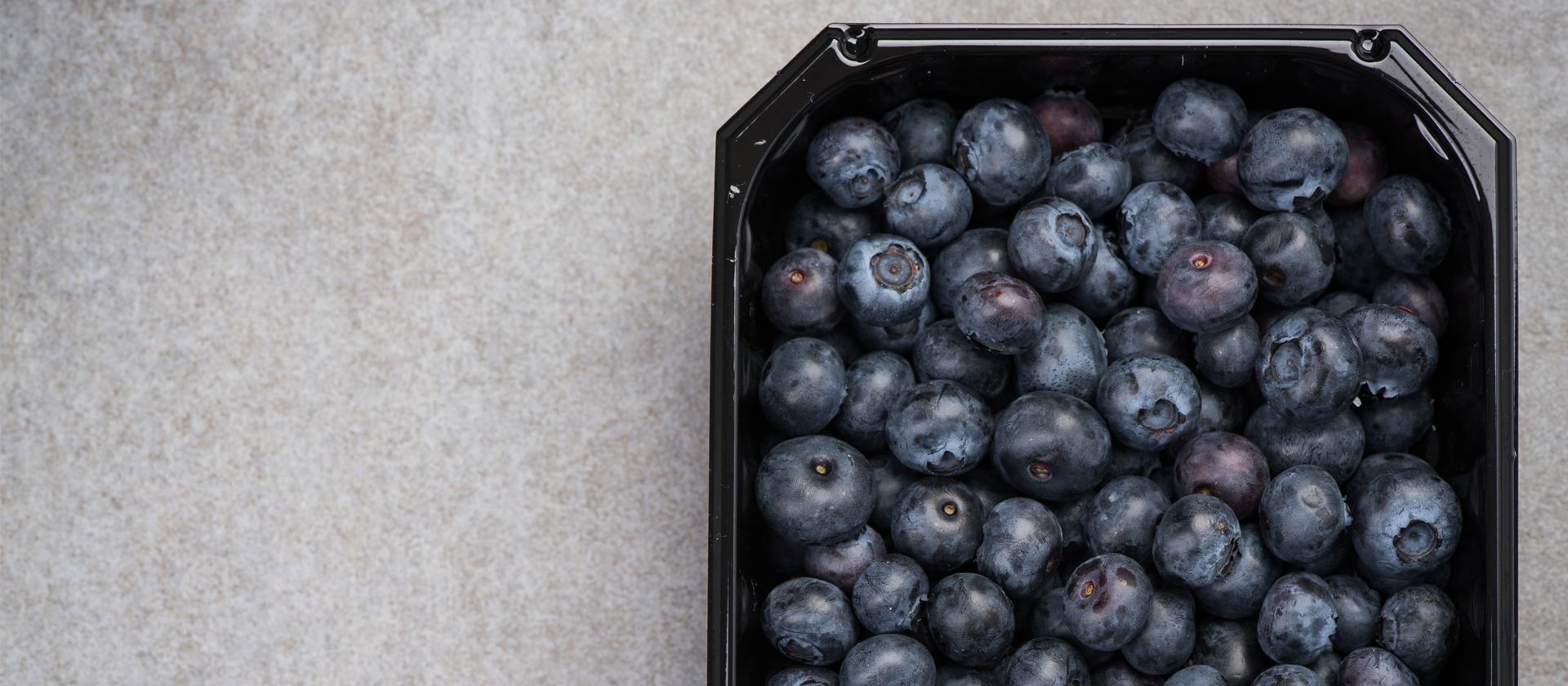 berry food tray