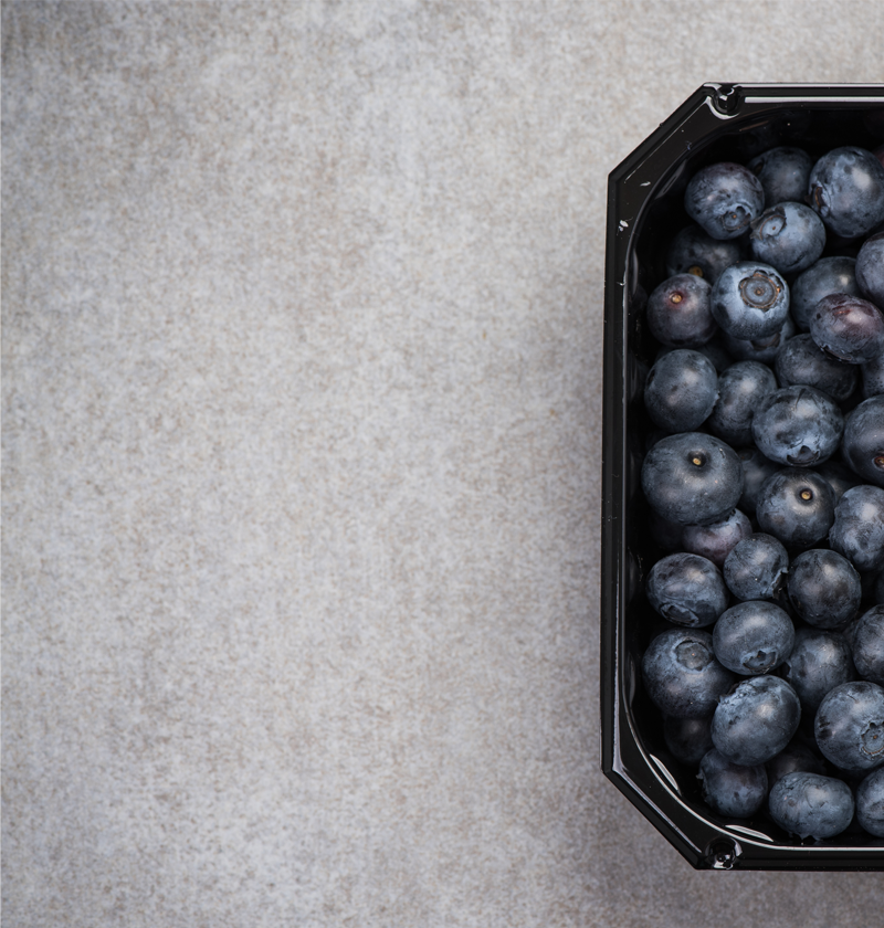 berry food tray