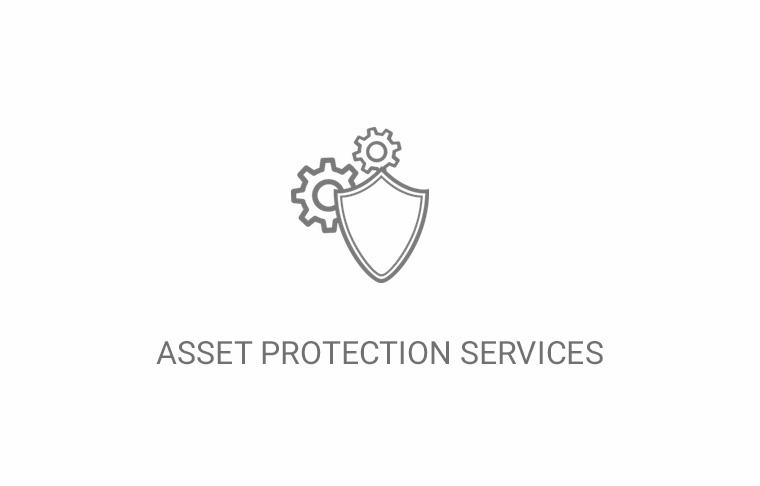  Asset Protection Services