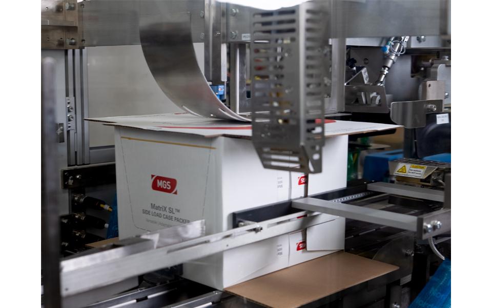 MatriX SL Case Packer